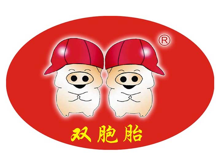 双胞胎集团
